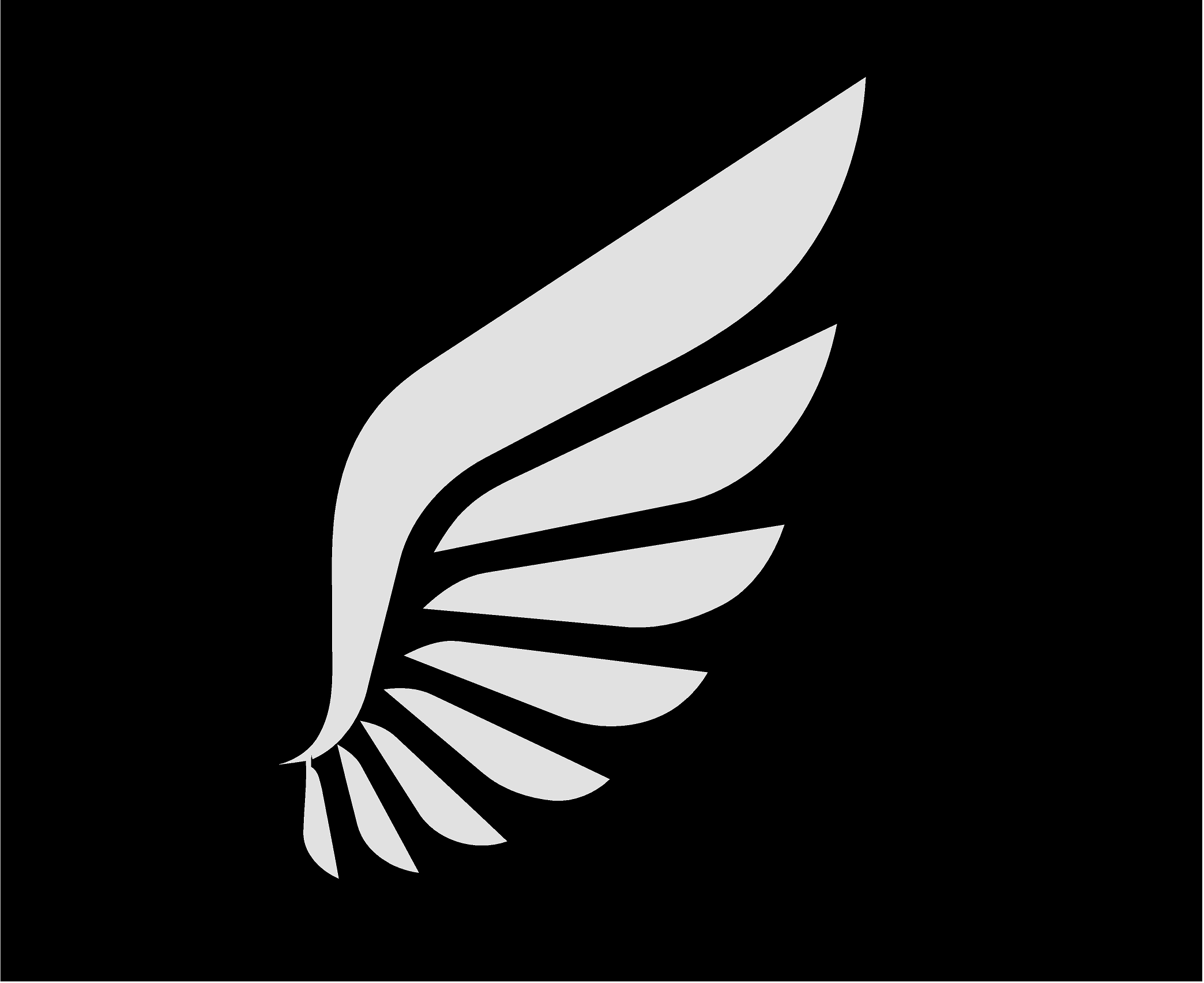 Schweißarmband The Movement